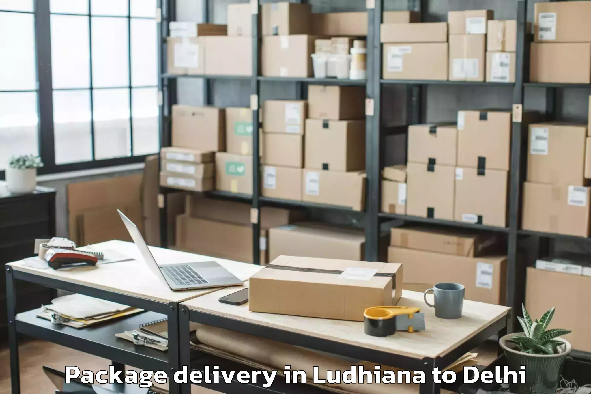 Top Ludhiana to Ambience Mall Vasant Kunj Package Delivery Available